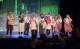 hoe overleef ik de musical 1